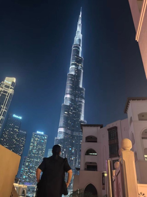 深い栽培,未来を強化する:中平技術の歴史'中東 の 産業 旅6