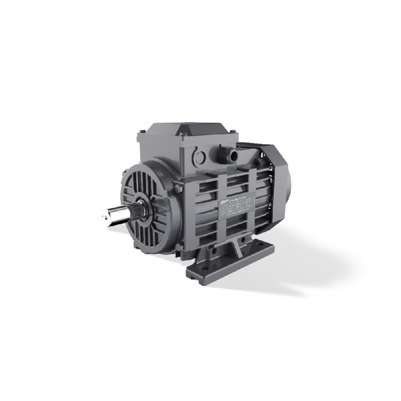 GESHI FTYP LSPM モーター 0.55-15kW IE4 ラインスタート IP55