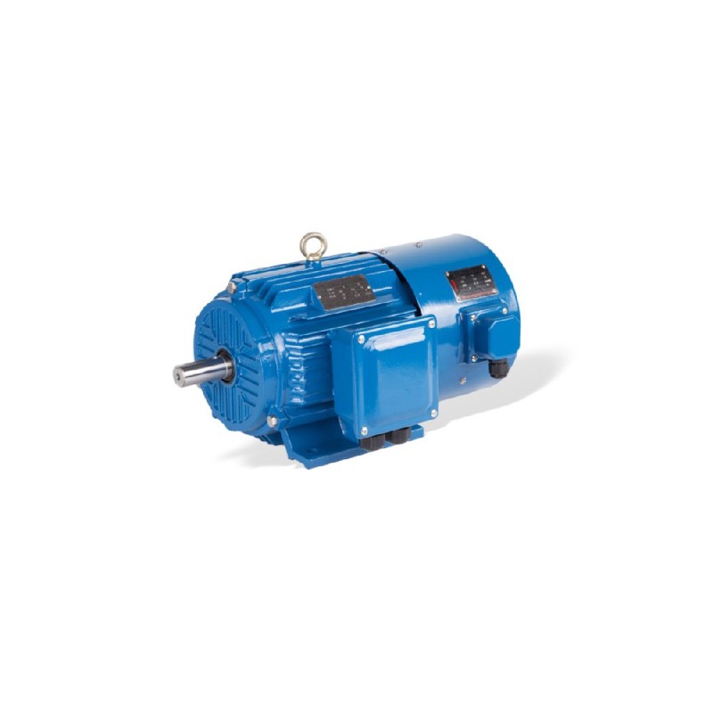 GESHI YVF2 VFD インバーター用モーター 0.55-315kW IP54